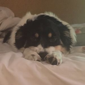 Meet your Posher, Claire